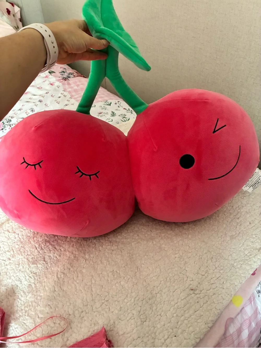 Fruit of the Loom Plush Cherry Twin Pillow - Pink & Green